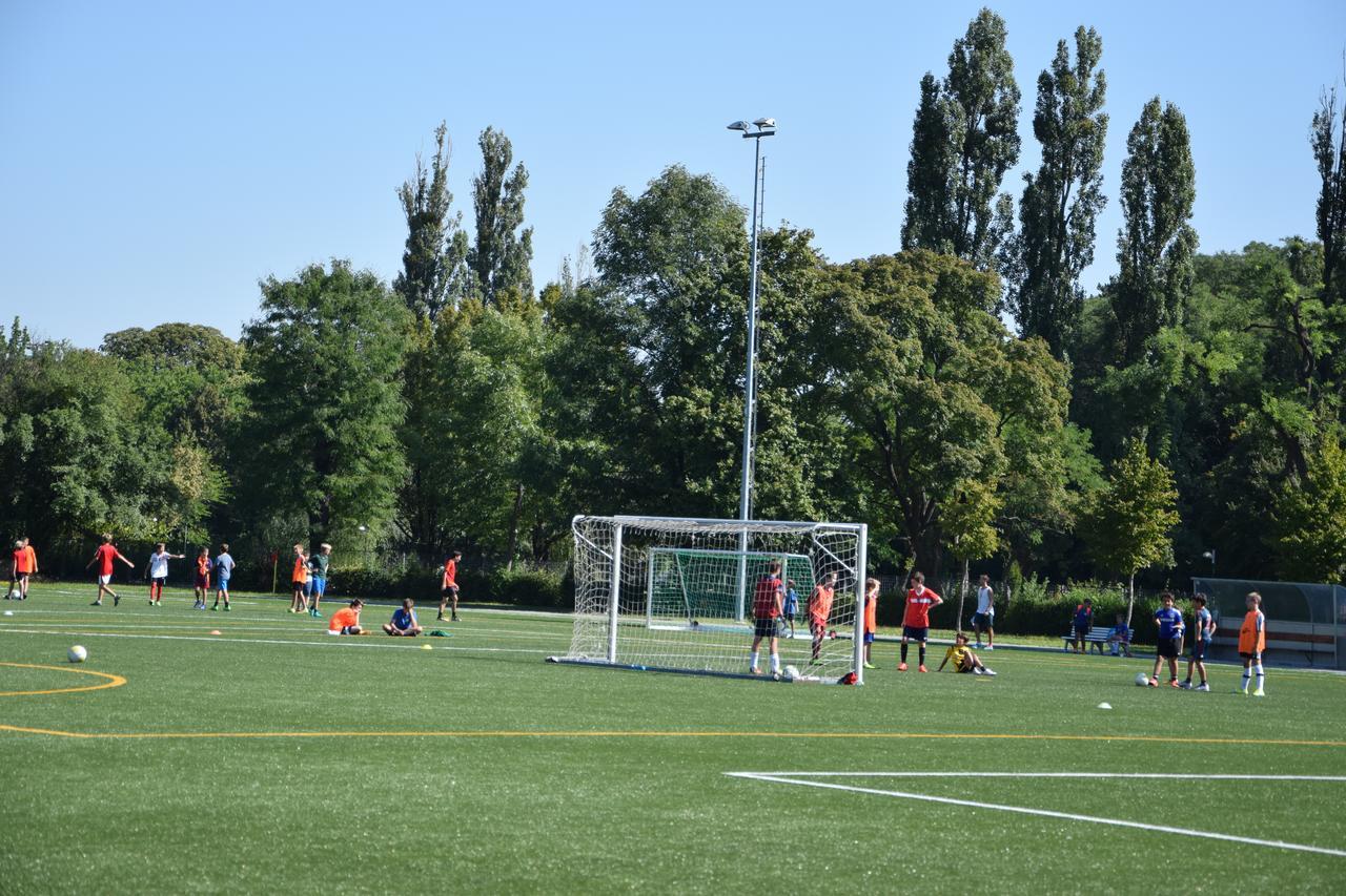 Ksv * Vienna