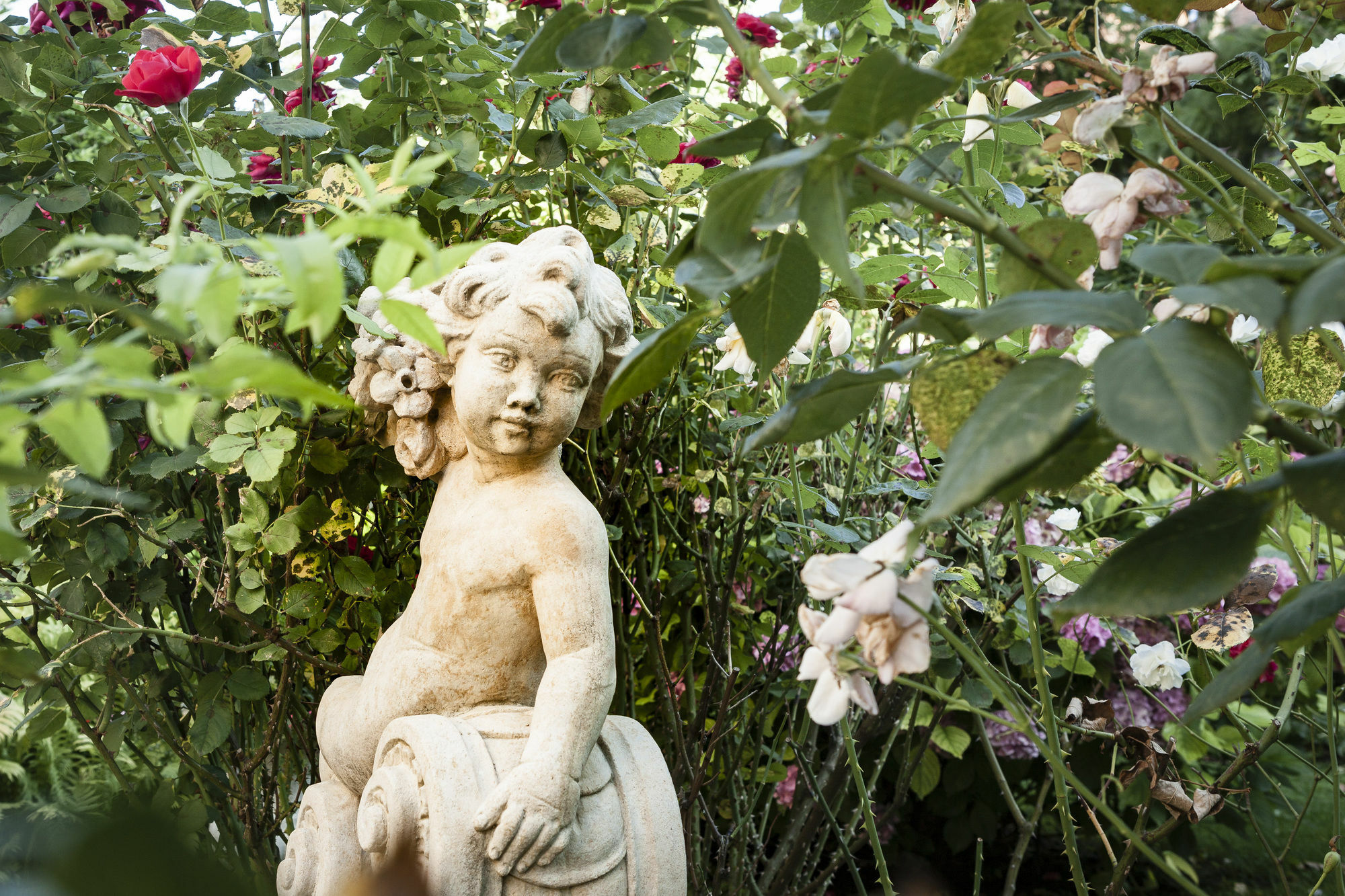 Park 4* Vienna