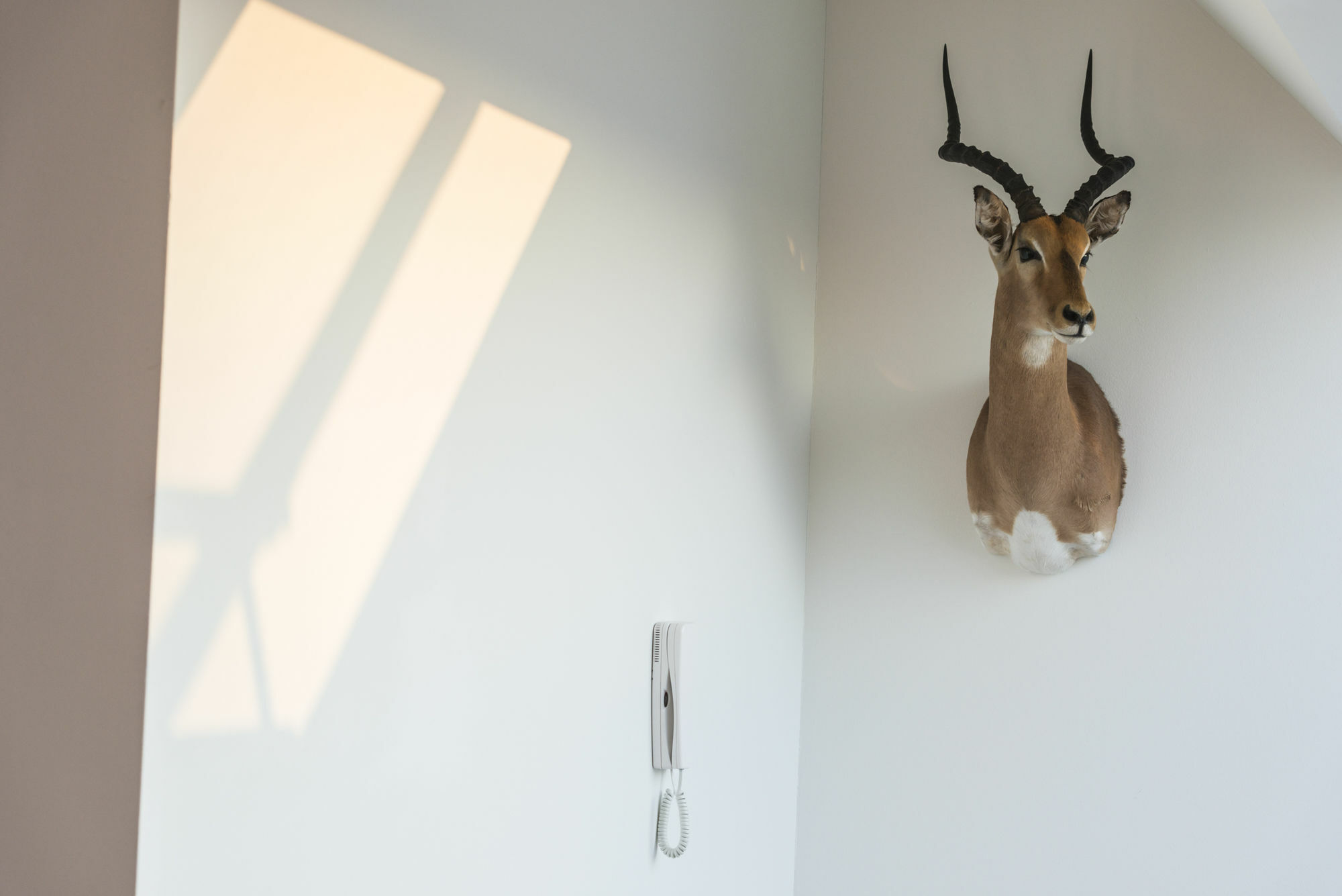 Penthouse Stephansplatz By Welcome2Vienna Vienna