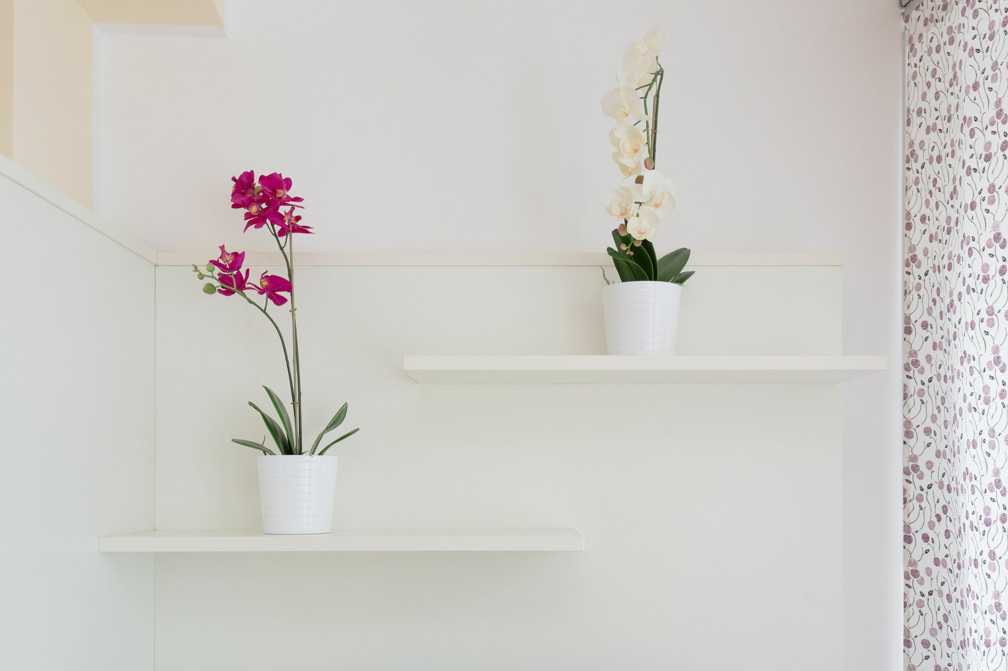 Apartment Servus Karlsplatz Vienna