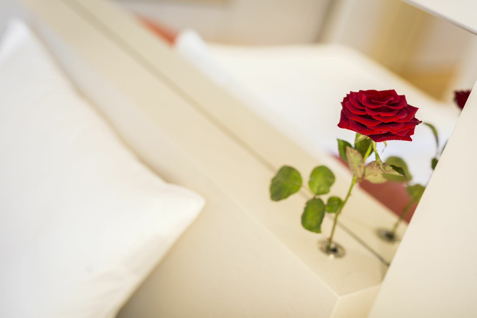 Vienna Grand Apartments Danube *