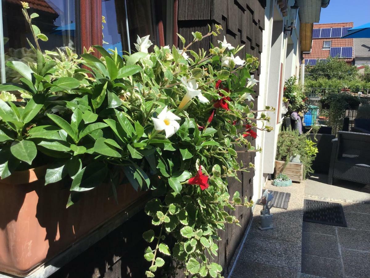 Guest house Haus Sanz 3*