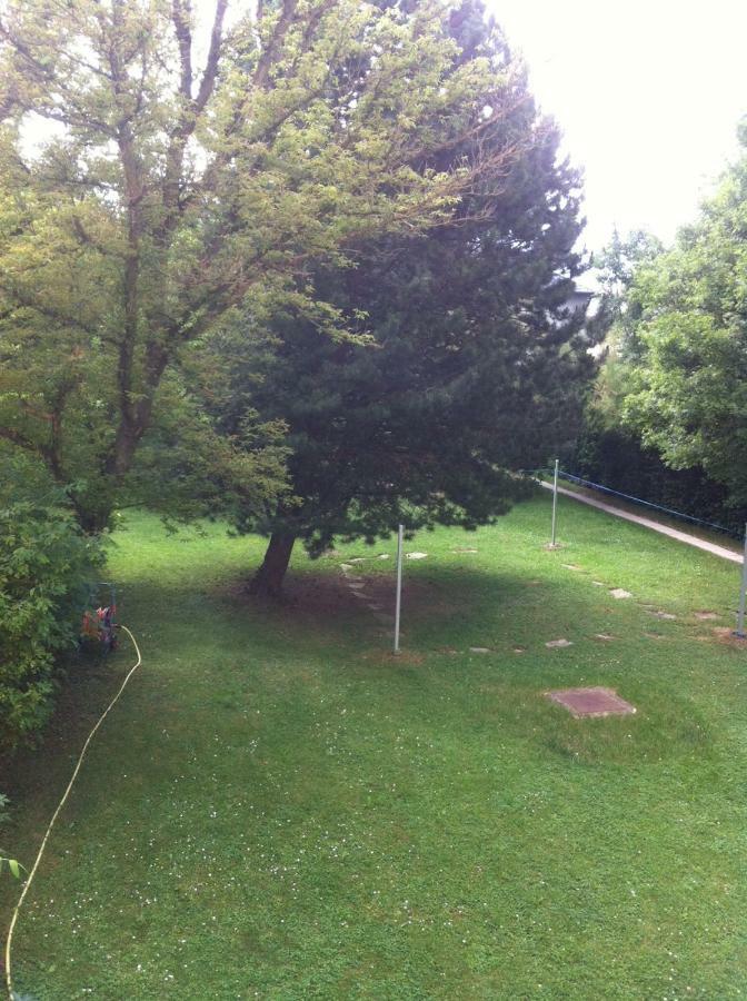 Cosy Flat Near Schoenbrunn * Vienna