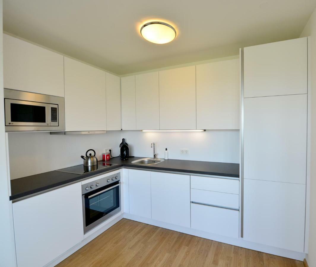 Erdberger Laende Apartment Vienna