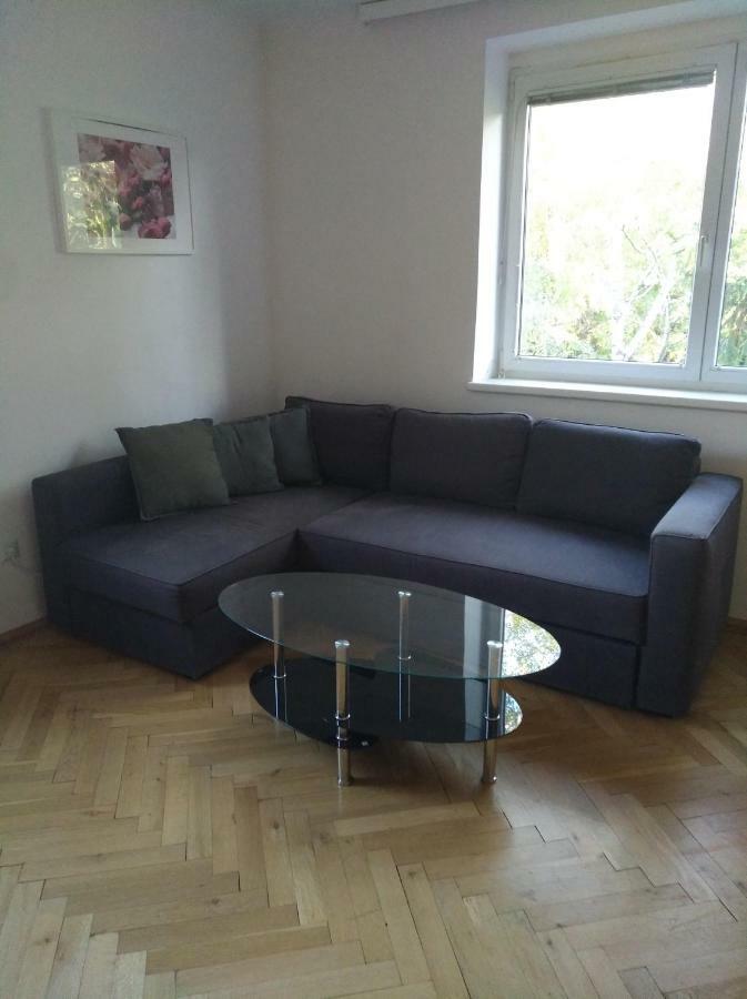 Lainz Apartment *