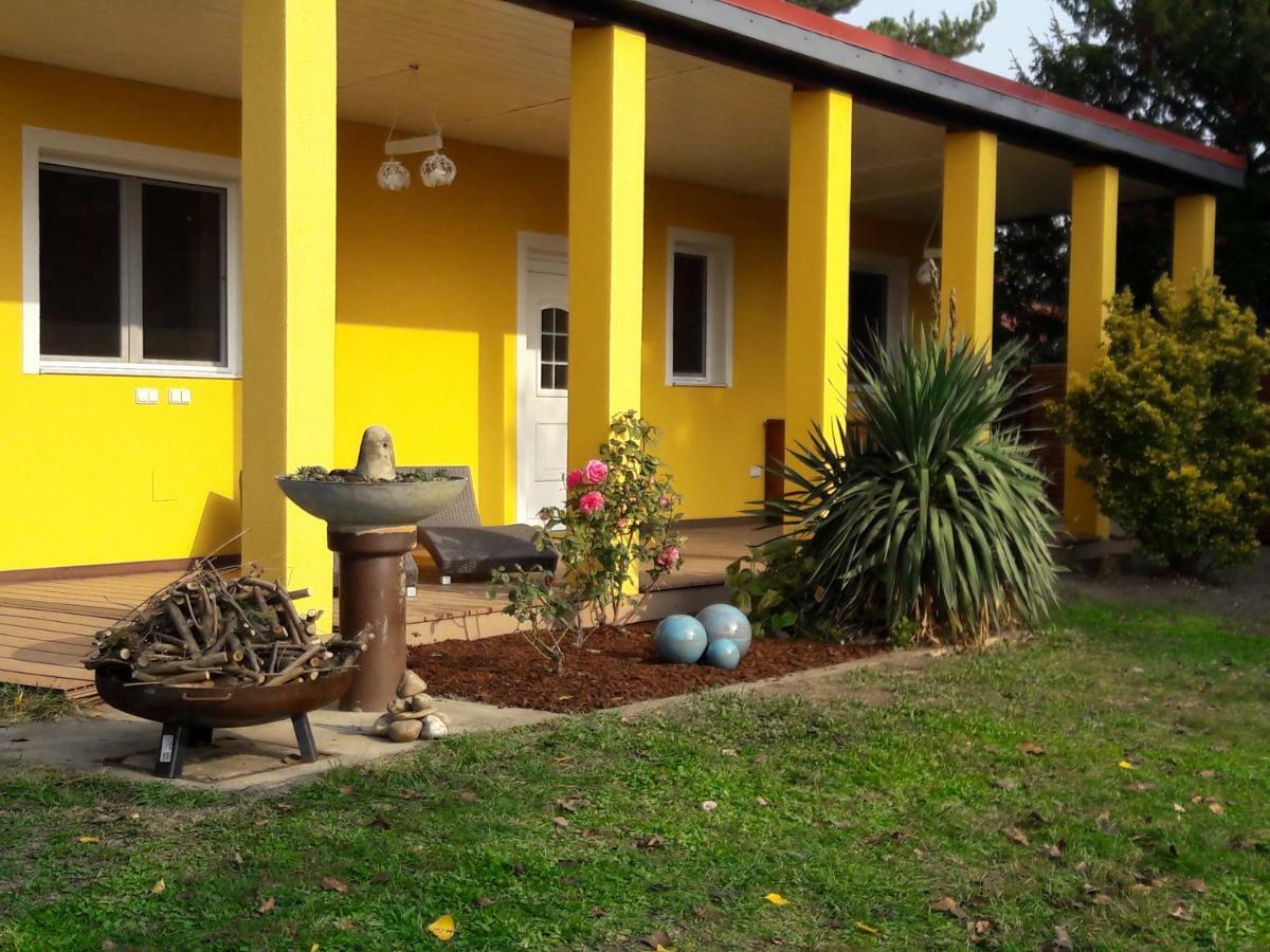 Bahay bakasyunan At Alte Donau Vienna