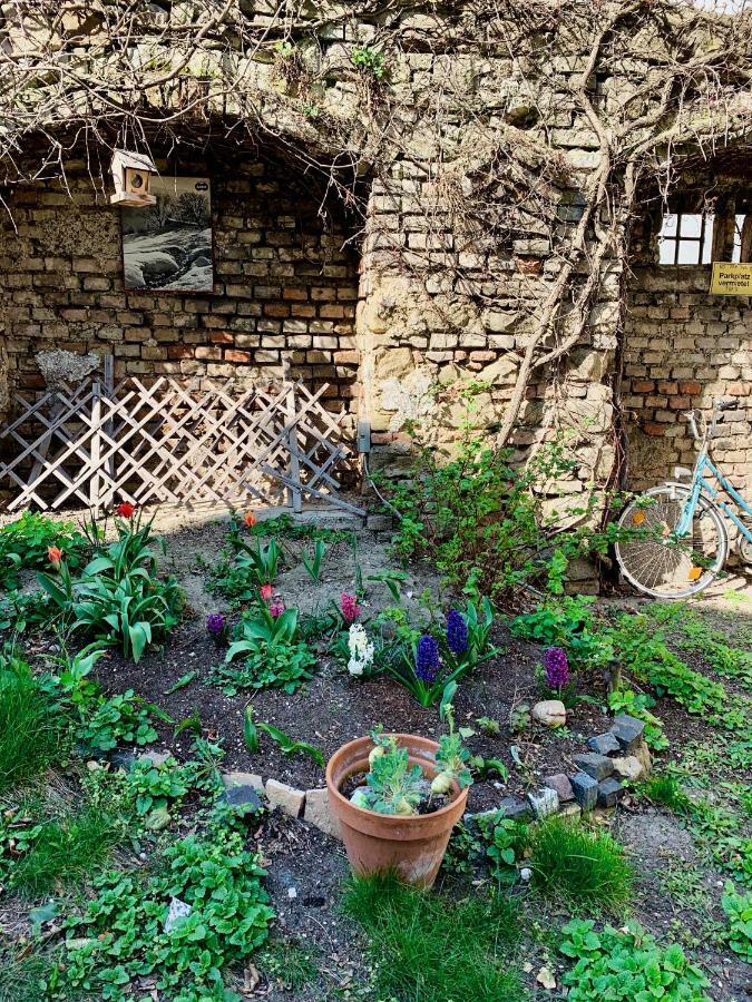 House With Courtyard & Parking Close To Stadtpark Holiday home *