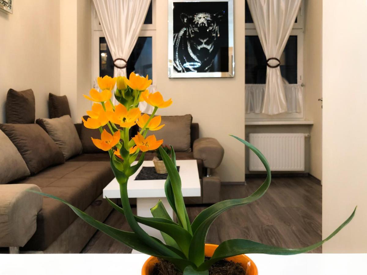 Deluxe Apartment *