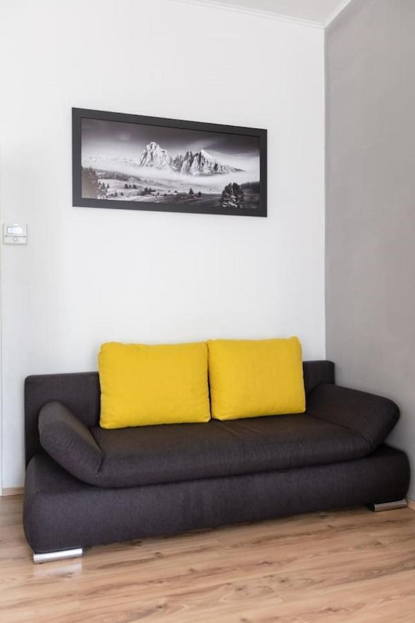 Sunny Renovated Close To Downtown Apartment